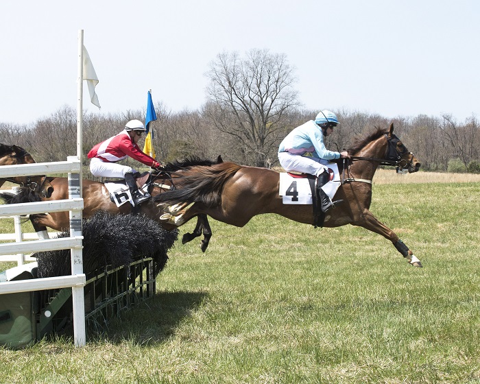 Blue Ridge Hunt PointtoPoint Moves To April, and Spring