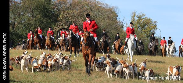 Fox Hunting Magazine: Foxhunting Life with Horse and Hound