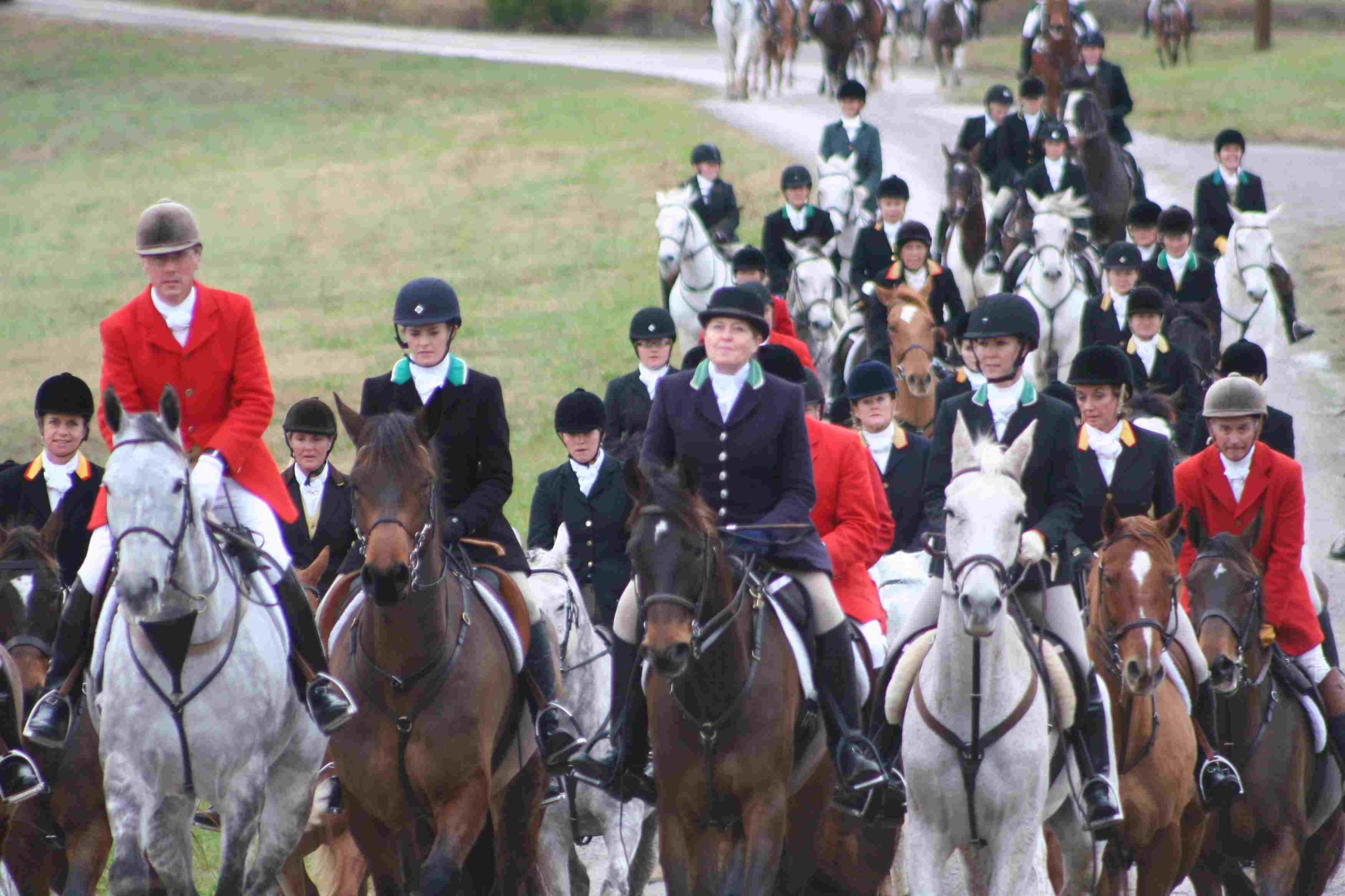 large group of riders walking down road