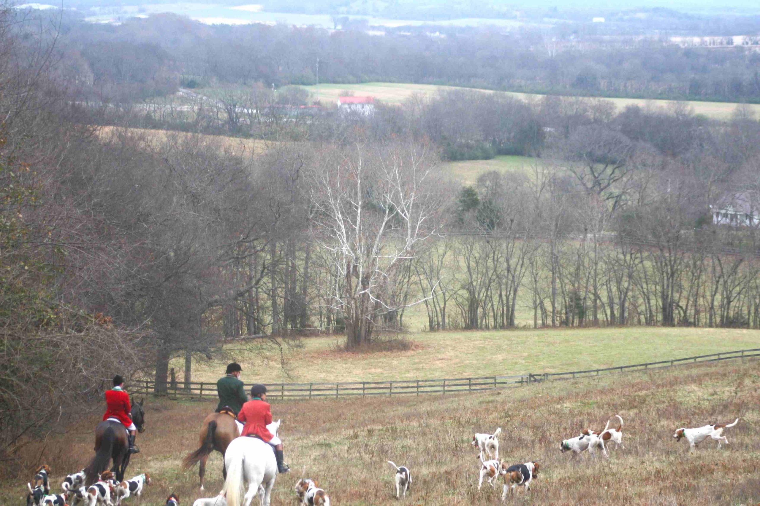 hunt field and hounds with vast fields and scenery