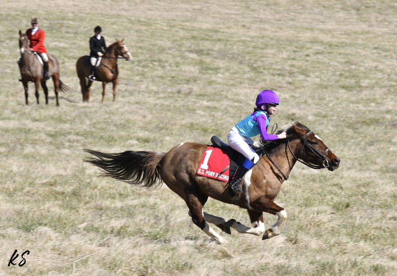 child galloping a pony