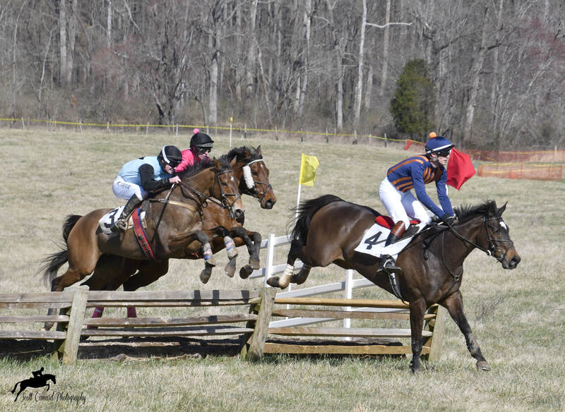 three race horses and jockeys jumping timber fences