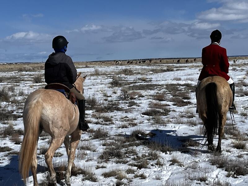 Two hunt riders on horses riding on snowy desert