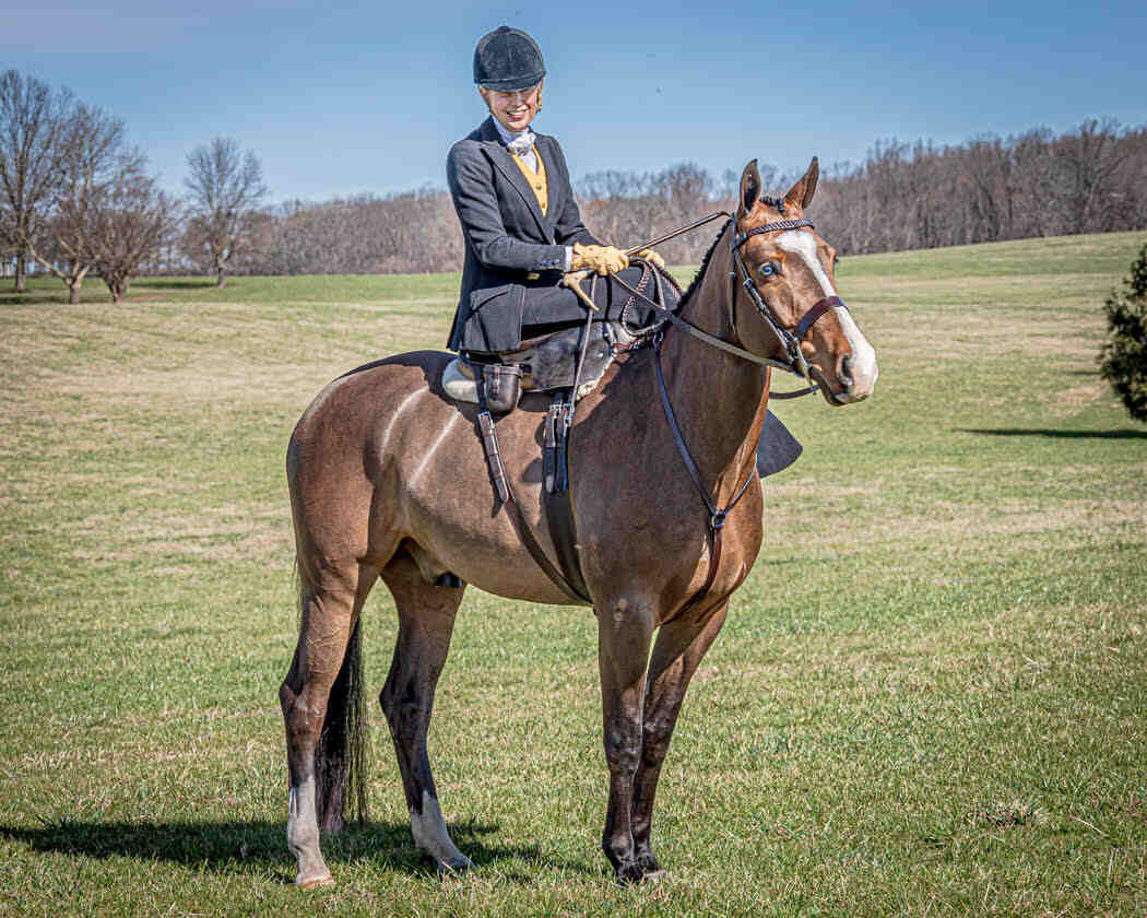 woman riding sidesaddle on hunt horse