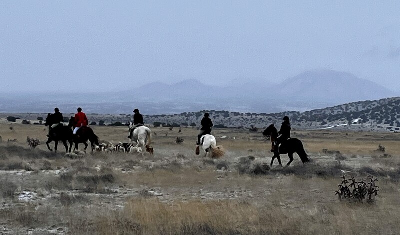 Hunt riders and horses with hounds riding through desert with mountains in background