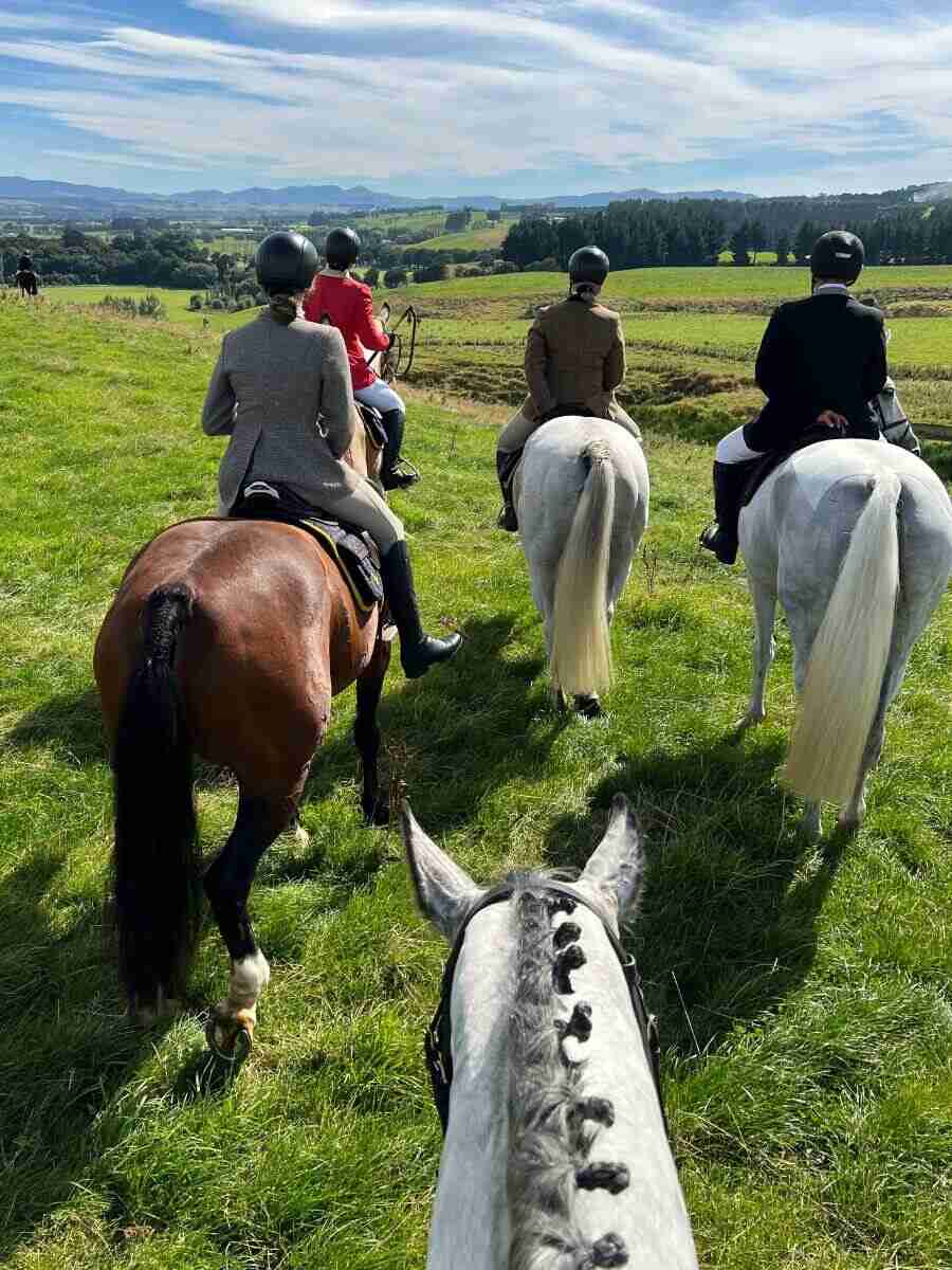 group of hunt riders walking horses in field