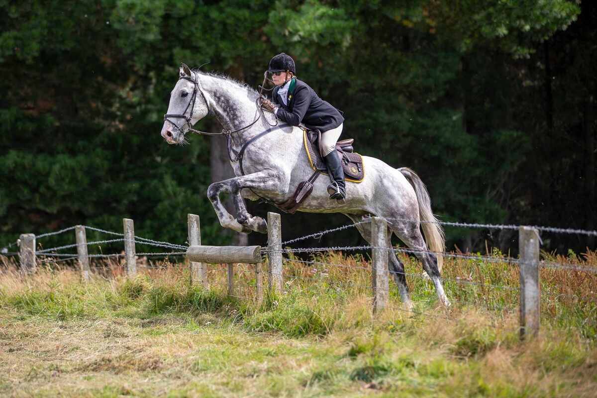 gray horse jumping fenceline