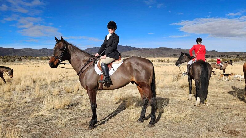 Young lady in hunt attire on clipped horse