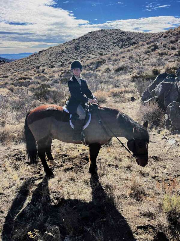 Young lady in hunt attire riding a mustang