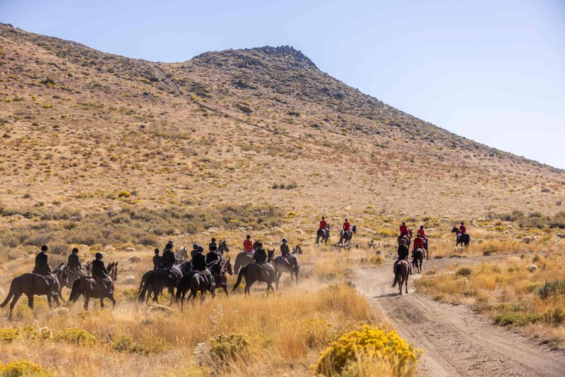 Several hunt horses and riders riding on a dusty hillside with hounds