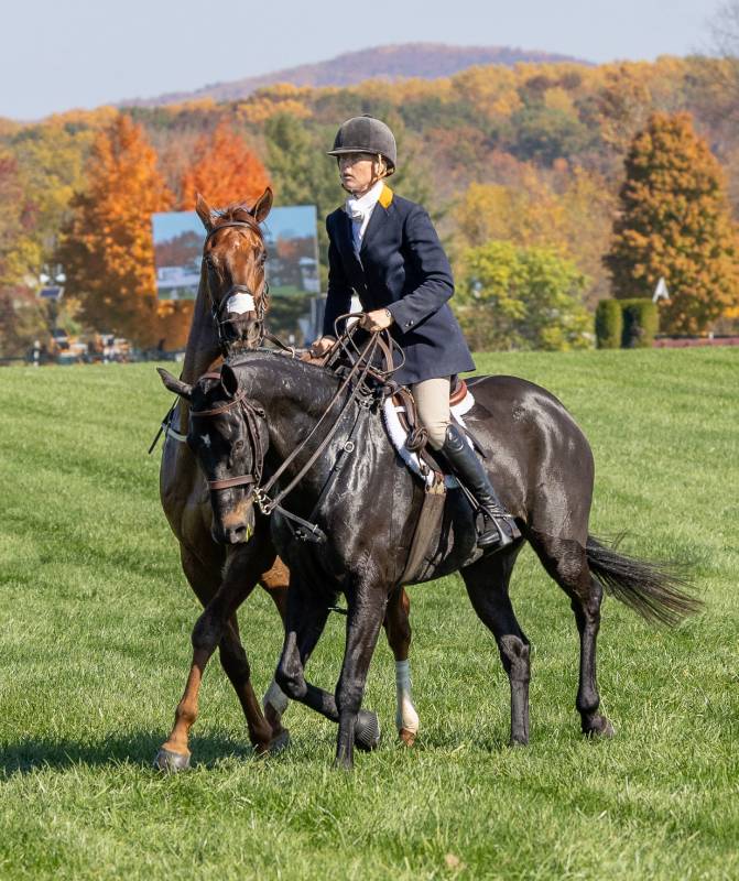 outrider on horse leading another horse through a field with fall colors on trees
