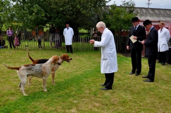 Best_Unentered_Doghounds_Whalebone_and_Whacker