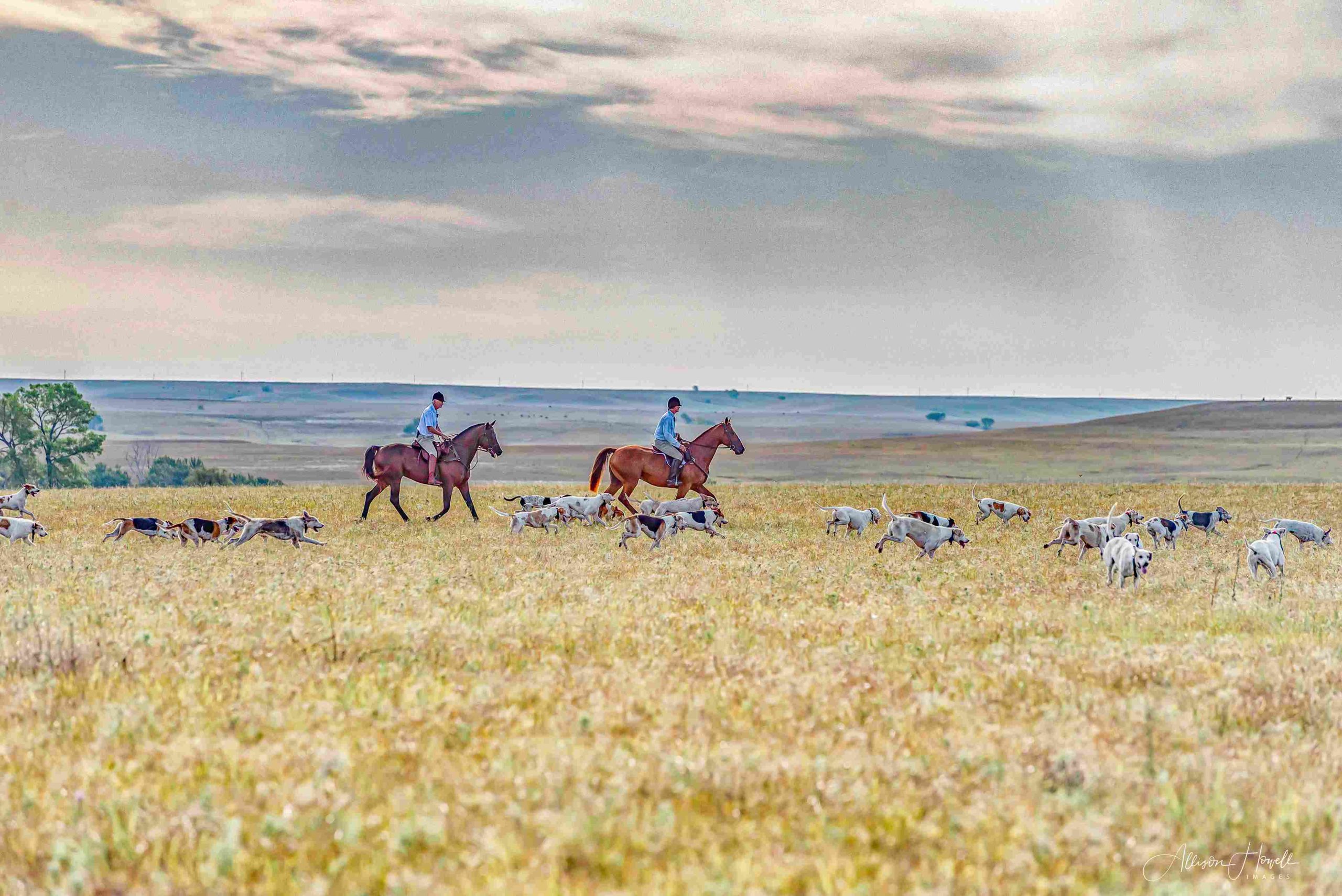 two riders and hounds in landscape