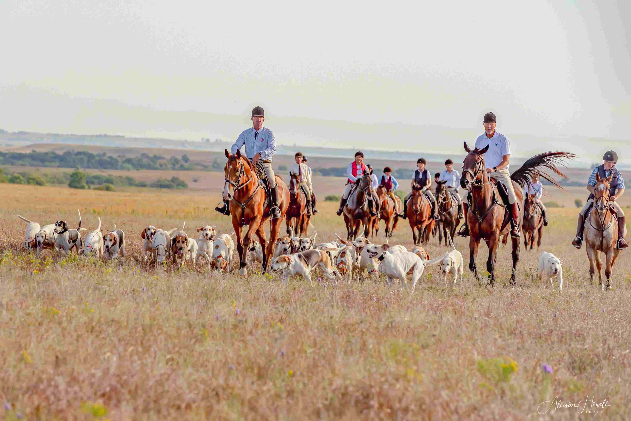 riders and hounds walking across field