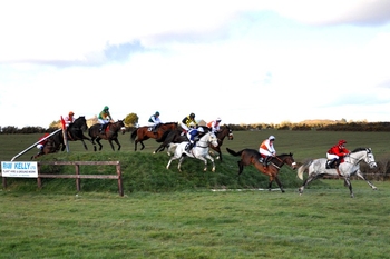Killinick_Harriers_Point_to_Point_Open_Banks_Race