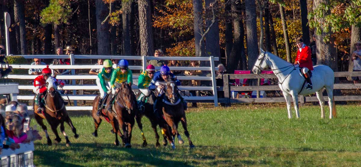 Horses racing on turf with spectators behind a white fence and an outrider standing nearby