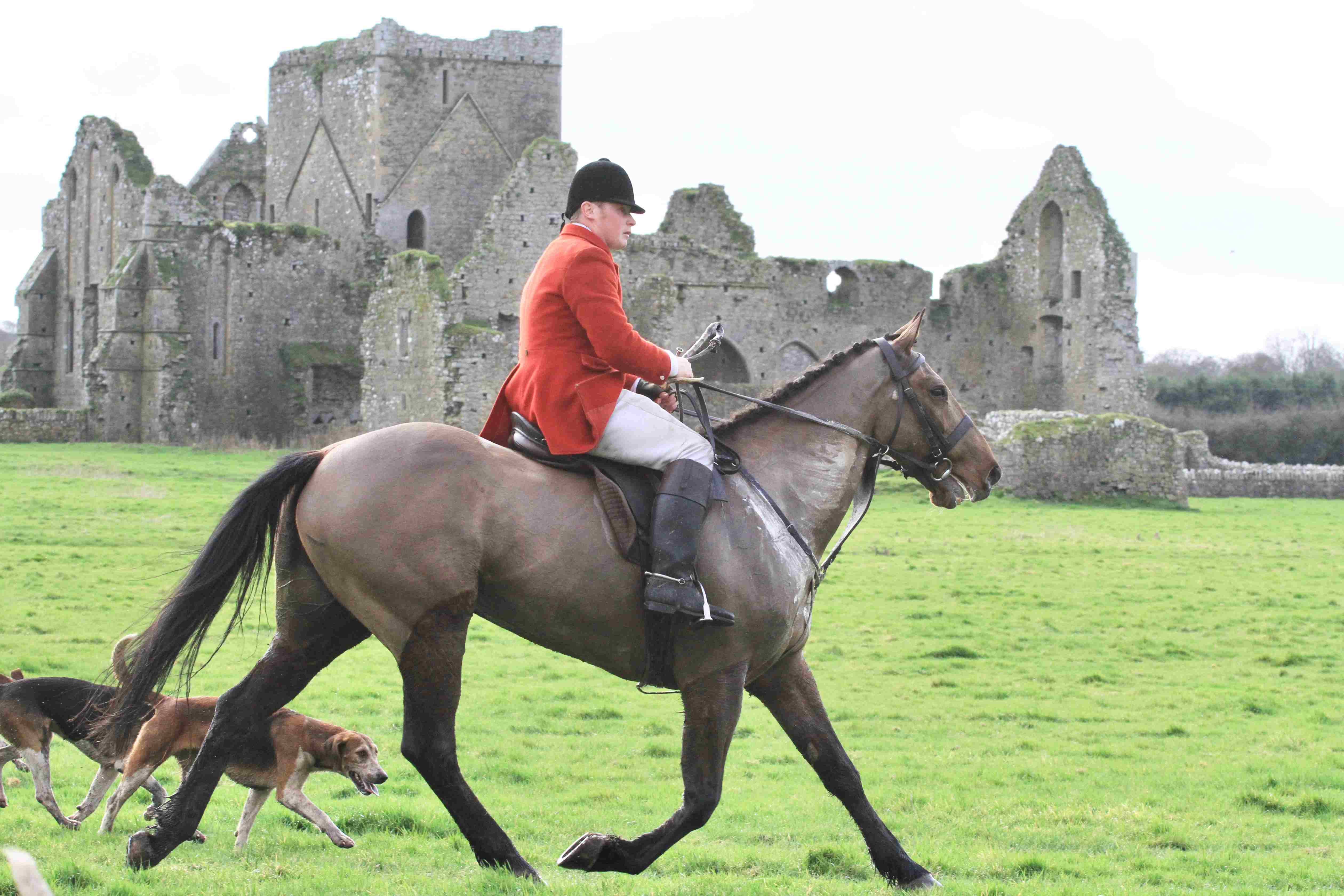 Tipps Gavin Shorten huntsman of The Tipperary Foxhounds.on his way to the next draw from Hore Abbey Photo by Catherine Power