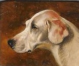 alfred wheeler.hound in DoB set