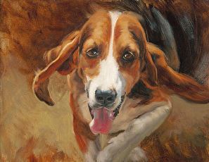 carolleethompson.running