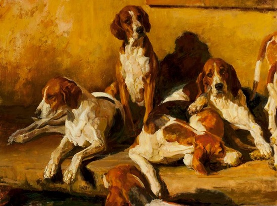 hound in kennel.juli kirk