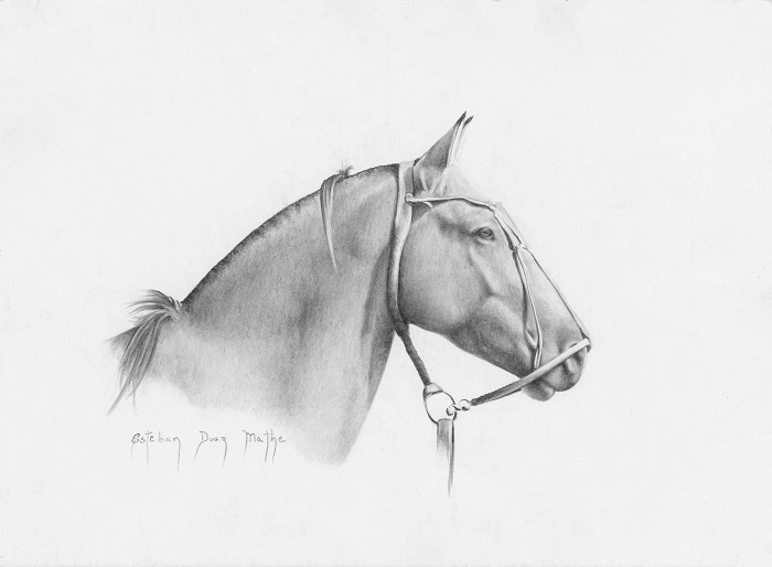 malinowsky2