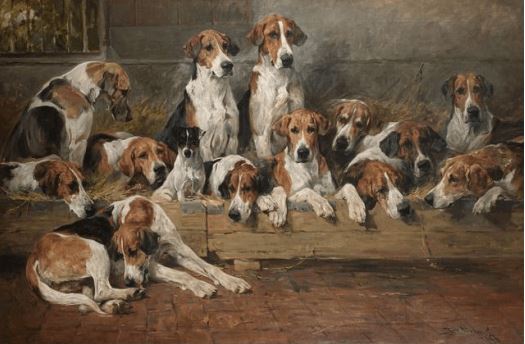 new forest foxhounds.emms