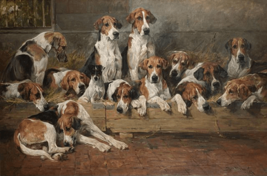 new forest foxhounds.emms