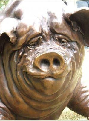 pig portrait.quade