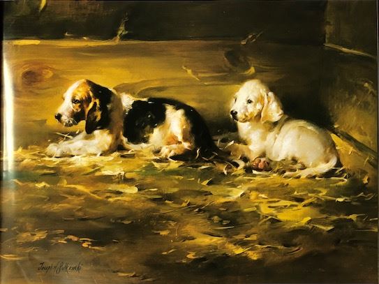 sulkowski.4