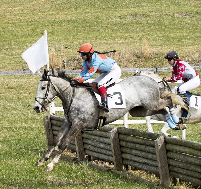 brh18.am nov timber2.maisano