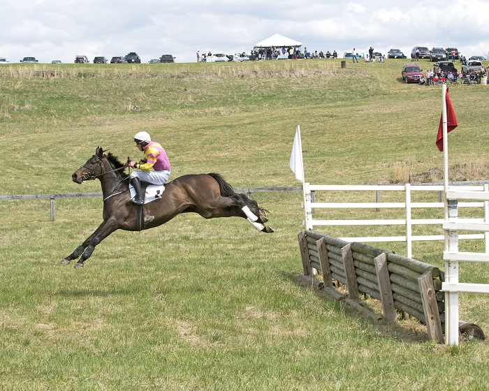 brh18.novice timber.maisano