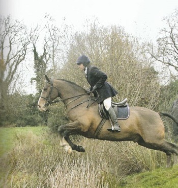duhallow.kate jarvey.power