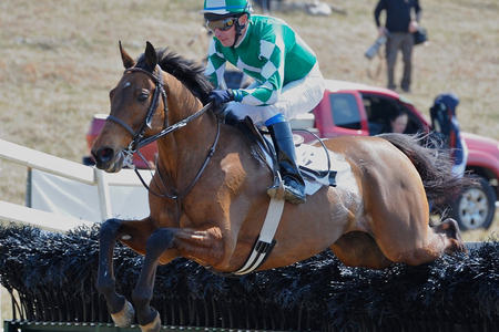 brh11.hurdle