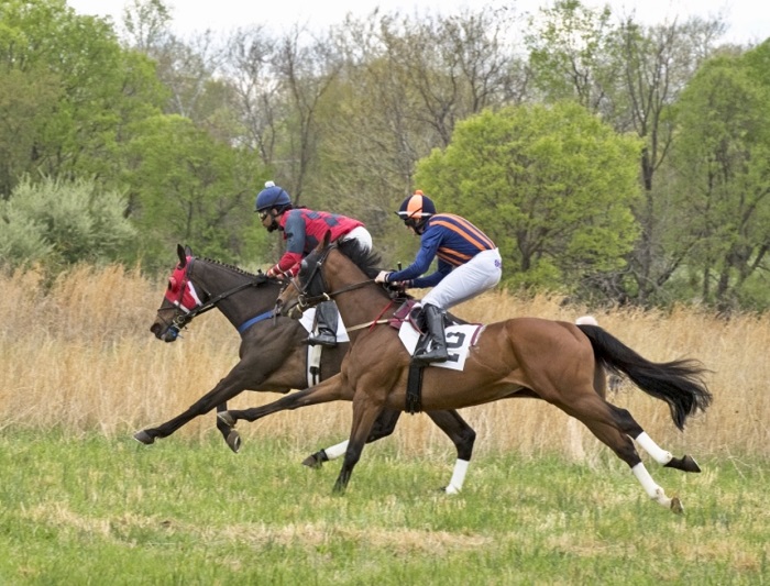 brh19.woodley cup flat.maisano