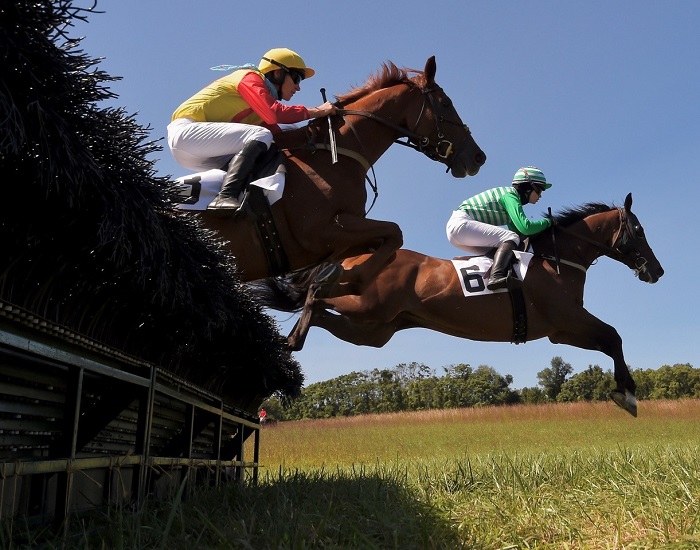 brhptp20.am nov hurdle