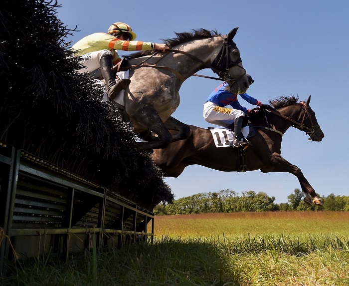 brhptp20.maiden hurdle2