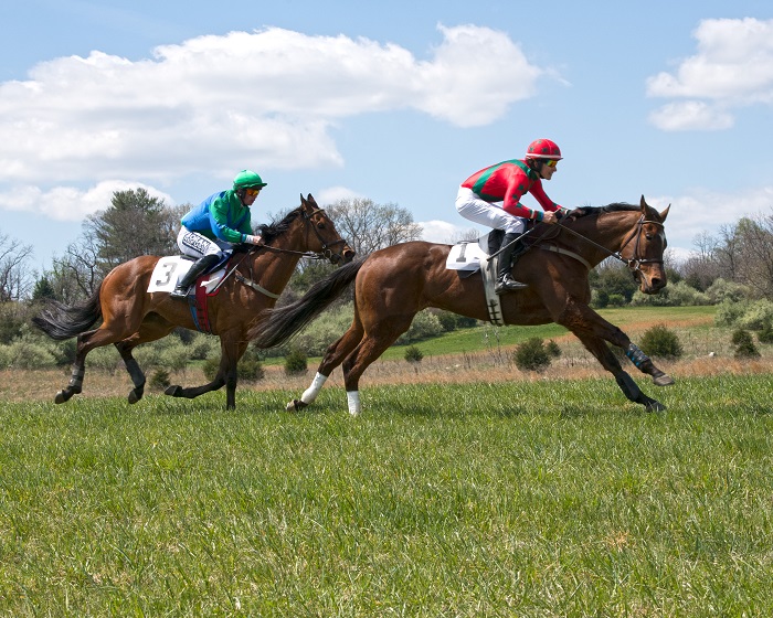 brhptp22.maiden hurdle.maisano