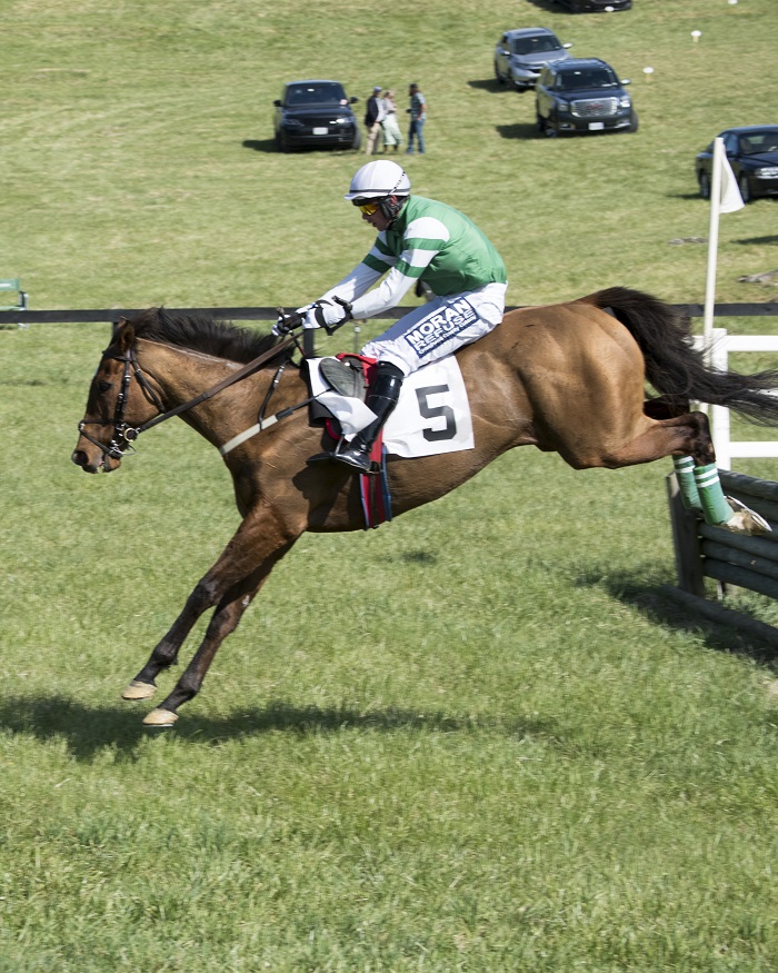 brhptp22.novice timeber 2.maisano