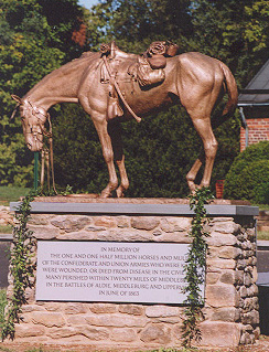 civil war horse 3