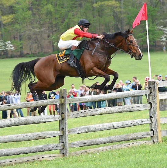 mhc16.fence13
