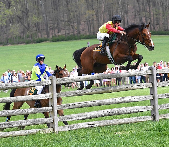 mhc18.fence 13