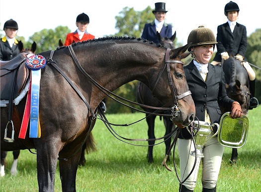nafhc.sportsmanship