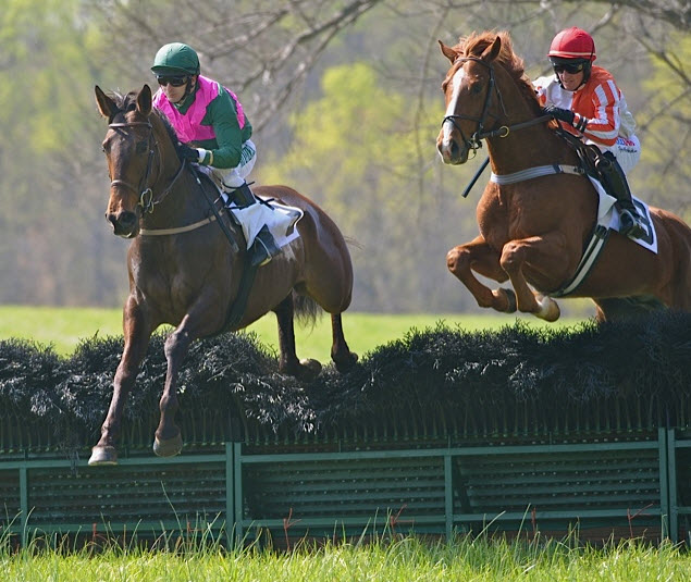 och12.maiden hurdle