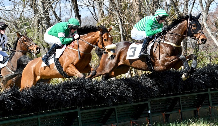 och19.maiden hurdle