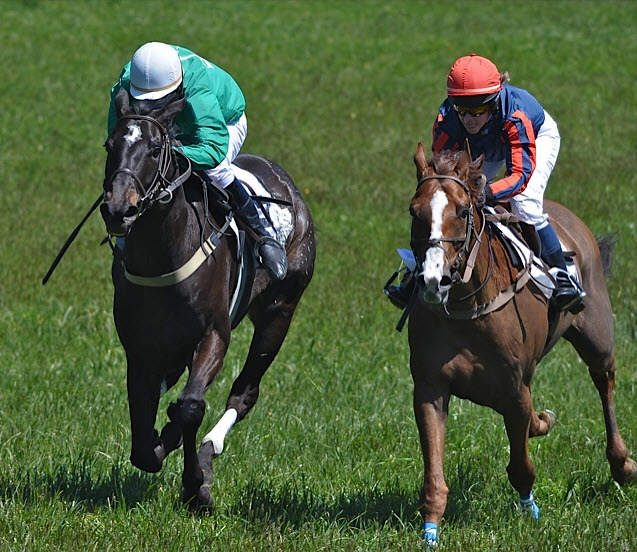 odh12.deadheat