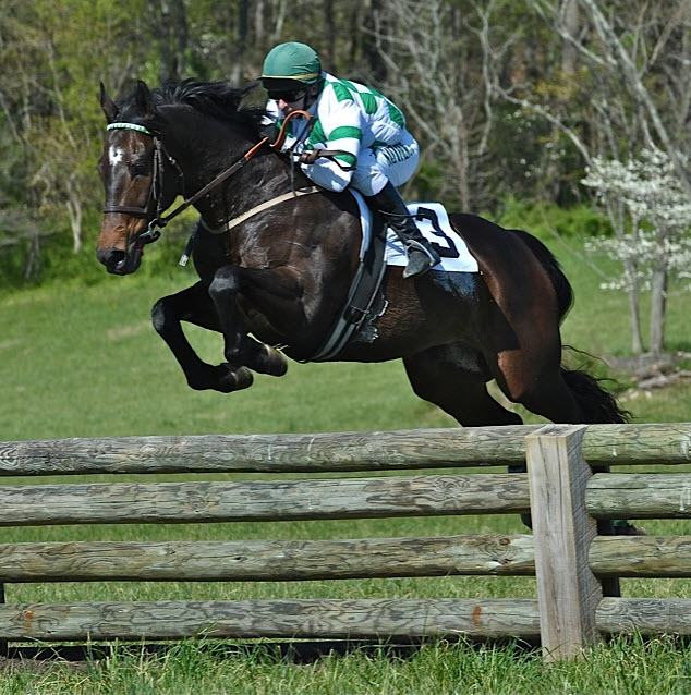 odh12.whatawarrior