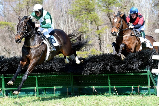odh15.open hurdle