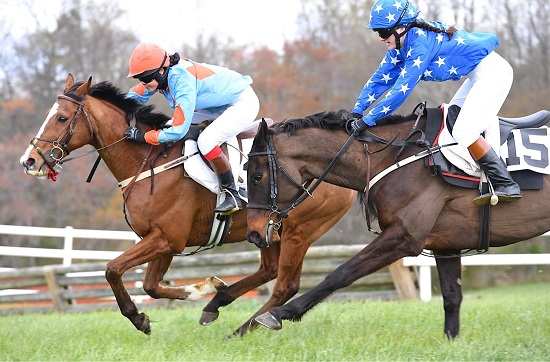 odh16.am nov hurdle