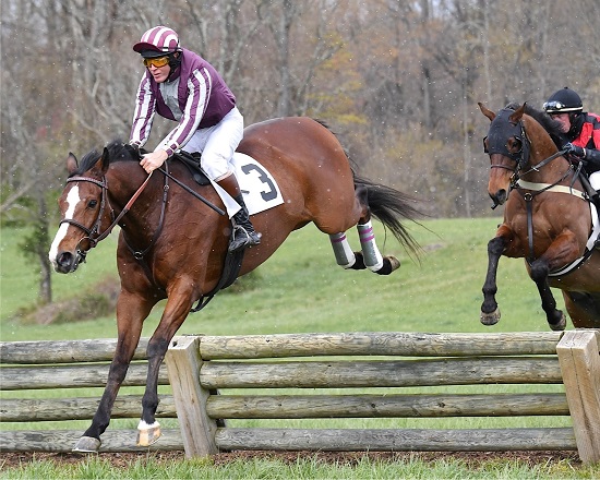 odh16.am nov rider timber