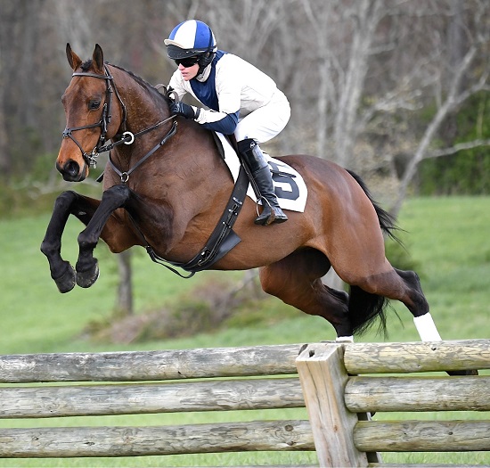 odh16.lady rider timber